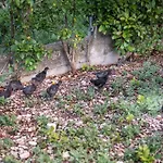 L'agrifoglio Di Residenza Di Campagna Couette-café Assise