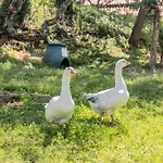 L'agrifoglio Di Residenza Di Campagna Bed & Breakfast 4*