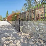 Bed & Breakfast L'agrifoglio Di Residenza Di Campagna Assisi