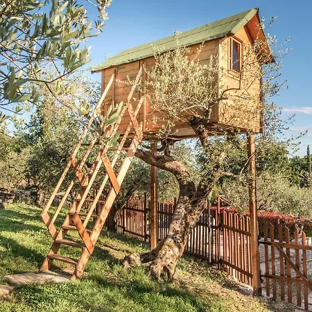 Bed and breakfast L'agrifoglio Di Residenza Di Campagna Asís