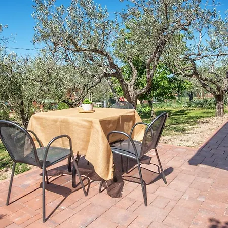 L'agrifoglio Di Residenza Di Campagna Bed and breakfast