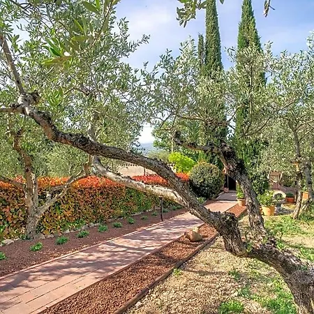 Oda ve Kahvaltı L'agrifoglio Di Residenza Di Campagna