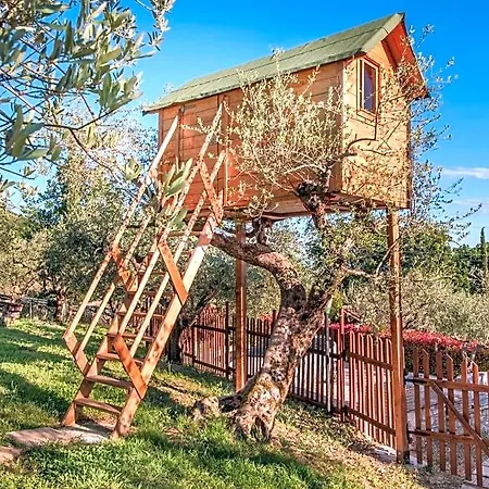 L'agrifoglio Di Residenza Di Campagna Oda ve Kahvaltı 4*