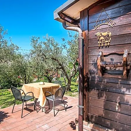 L'agrifoglio Di Residenza Di Campagna Assisi