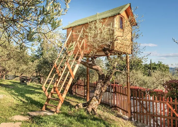 فندق مبيت وإفطار L'agrifoglio Di Residenza Di Campagna أسيسي