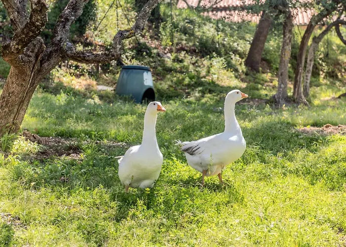 L'agrifoglio Di Residenza Di Campagna Bed & Breakfast 4*