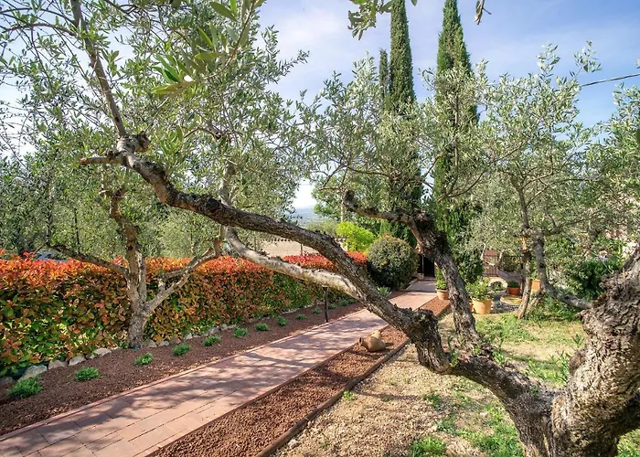 L'agrifoglio Di Residenza Di Campagna Bed & Breakfast 4*